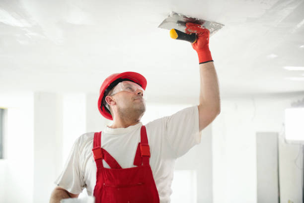 Best Ceiling Drywall Installation  in Giddings, TX